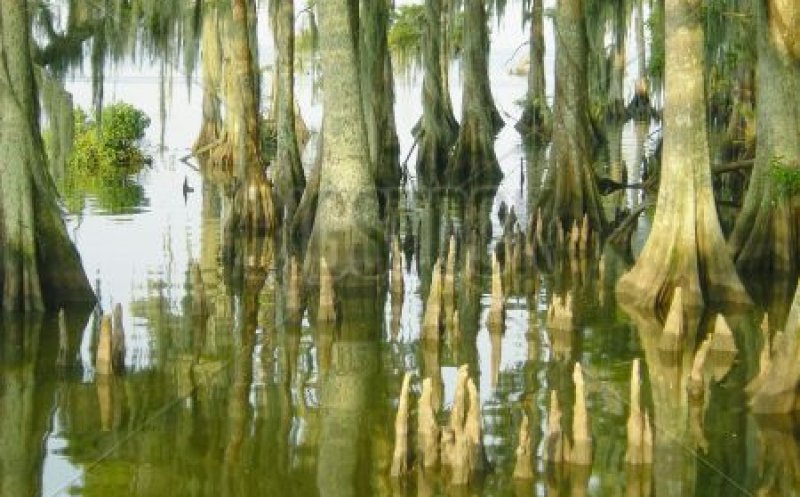 Mississippi Gothic