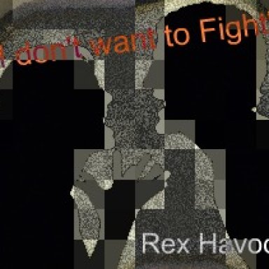 I don't want to fight