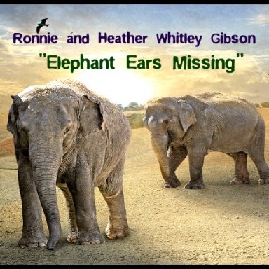 Elephant Ears Missing