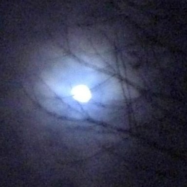 Winter Moon