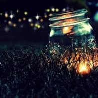 Chasing Fireflies