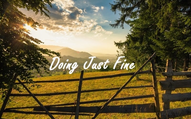 Doing Just Fine