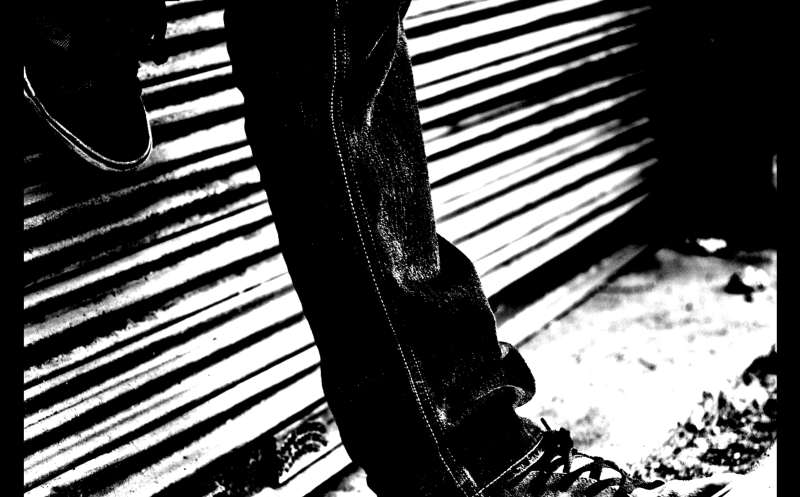 Swimming With The Fishes