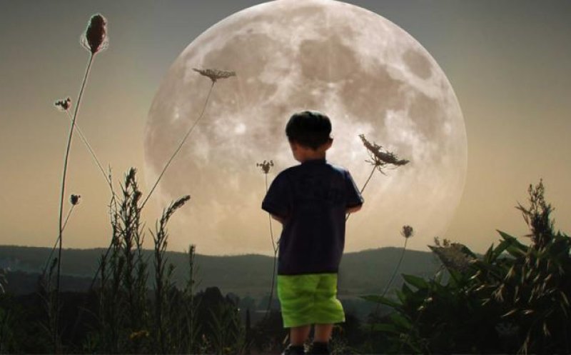 The Boy Who Built the Moon