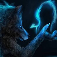 " Crazy Wolf "