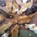 Barry the Cat Hoarder rated a 5