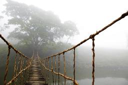 Journey
