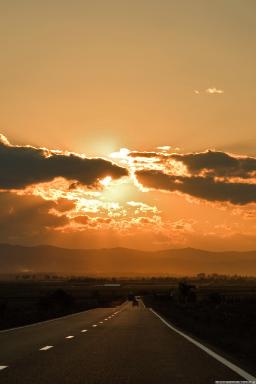Hallelujah Highway
