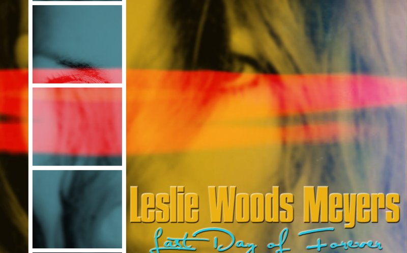 Last Day of Forever - Leslie Woods Meyers