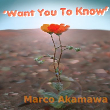 'Want You To Know'