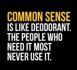 Common Sense