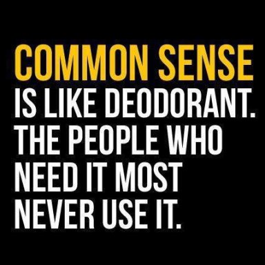 Common Sense