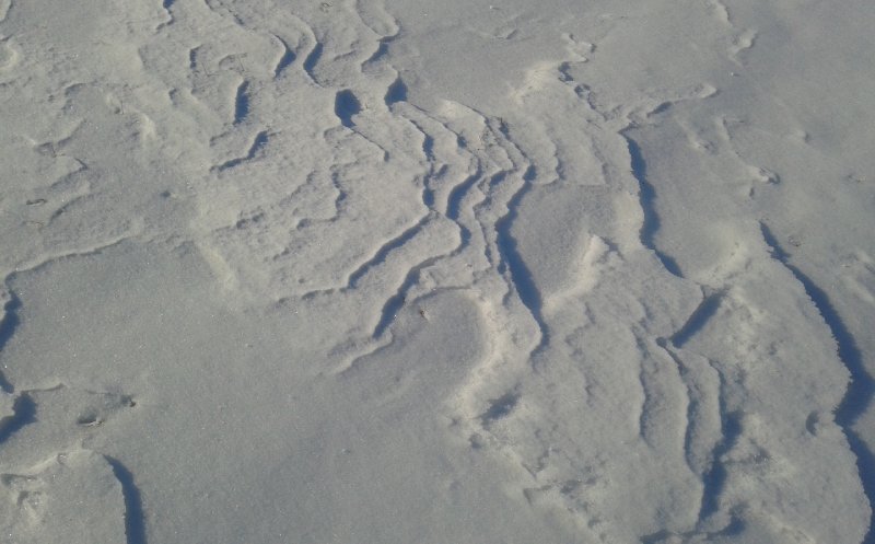 African (walk) Bolero