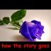 How the Story Goes  rated a 5