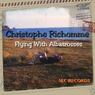 Flying with albatrosses