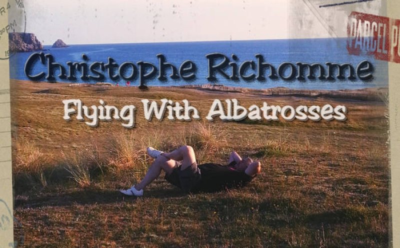 Flying with albatrosses