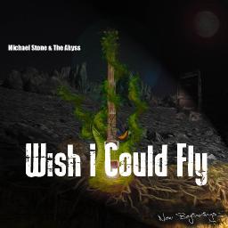 Wish I Could Fly