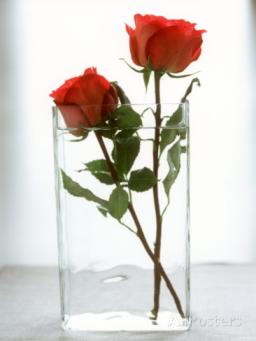 Roses in a Glass