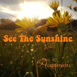 See The Sunshine