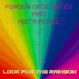 Look For The Rainbow