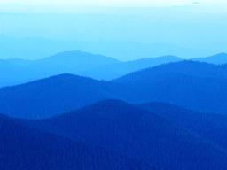 More Than Blue