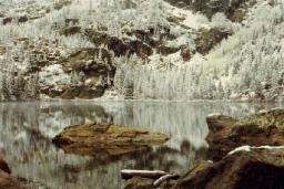 Reflections on Pinewoods Lake