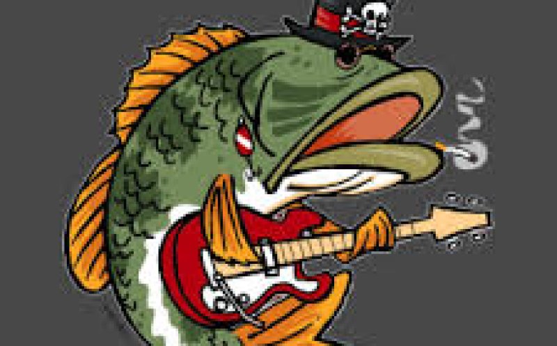 Bass Material