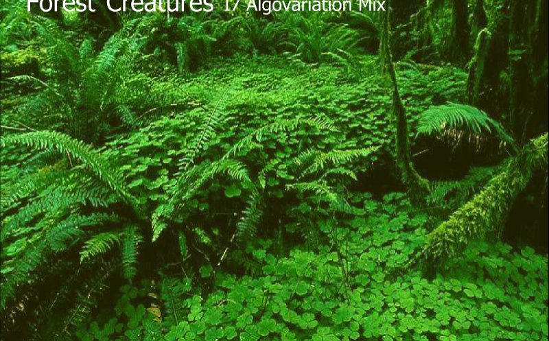 Forest Creatures (I7 Algovariation Mix)