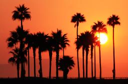 Back in California