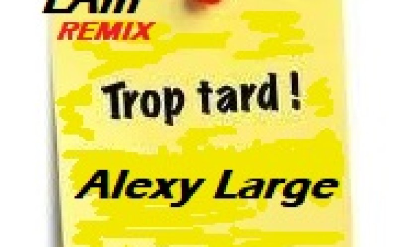 LAm86 (Beat) Alexy Large (Vocals) "Trop Tard"