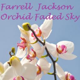 Orchid Faded Sky