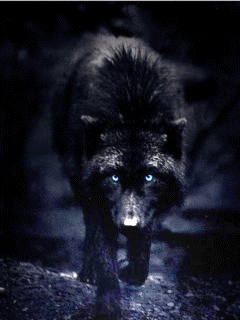 Wolf RaVe ...Weirdwolves ft. TLT50