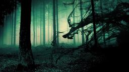 The Haunted Forest