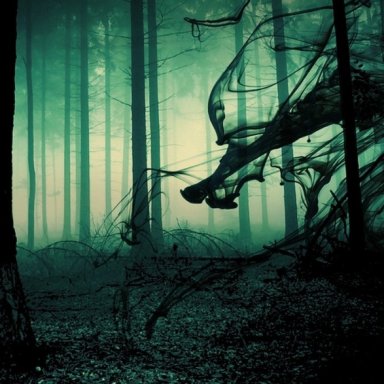 The Haunted Forest