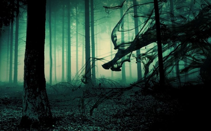 The Haunted Forest