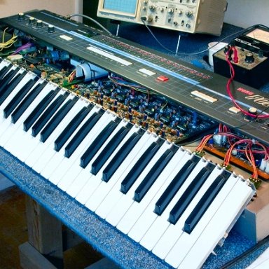 POLY-61 BLUES 