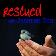 Rescued - with Jasmine Tea