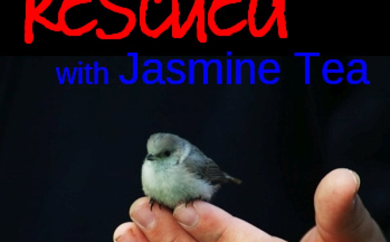 Rescued - with Jasmine Tea