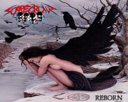 Reborn (Single)