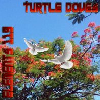 Turtle Doves By Elements 119 Featuring BAMIL and Lady N