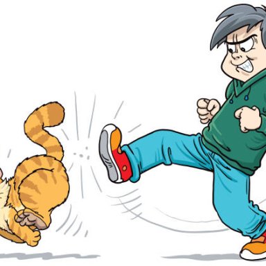 Stop Kicking That Cat