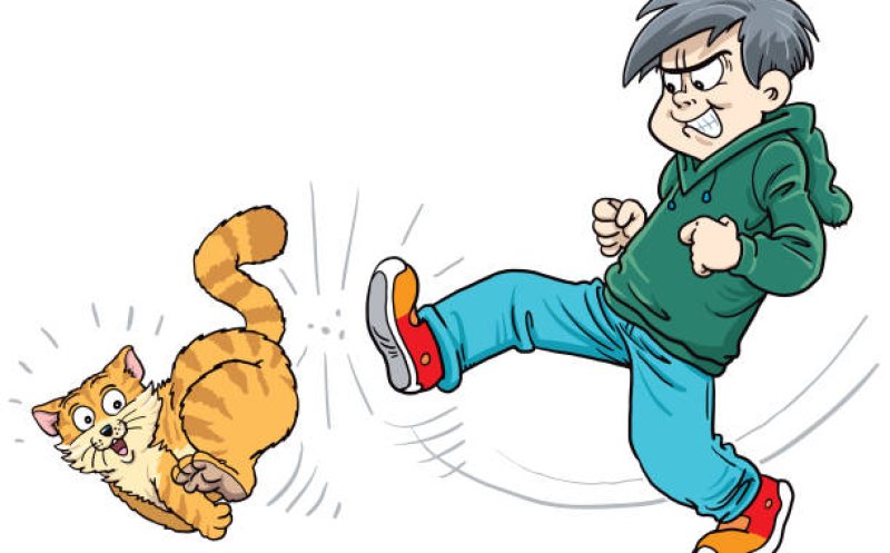 Stop Kicking That Cat