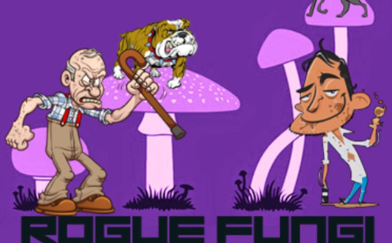 Put up your Dog - Rogue Fungi