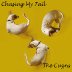 Chasing My Tail (Feat. The Cuzns FJ, RB, LR)