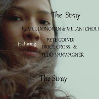 The Stray