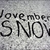 November Snow