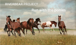 Run With The Ponies