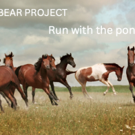 Run With The Ponies