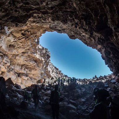 Super cool furry thingies gathered together in an Arabian cave with Queen Victoria's butler, Jack the Ripper, the Arc of the Covenant and a pictograph(remix). 