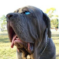 Blue Eyes